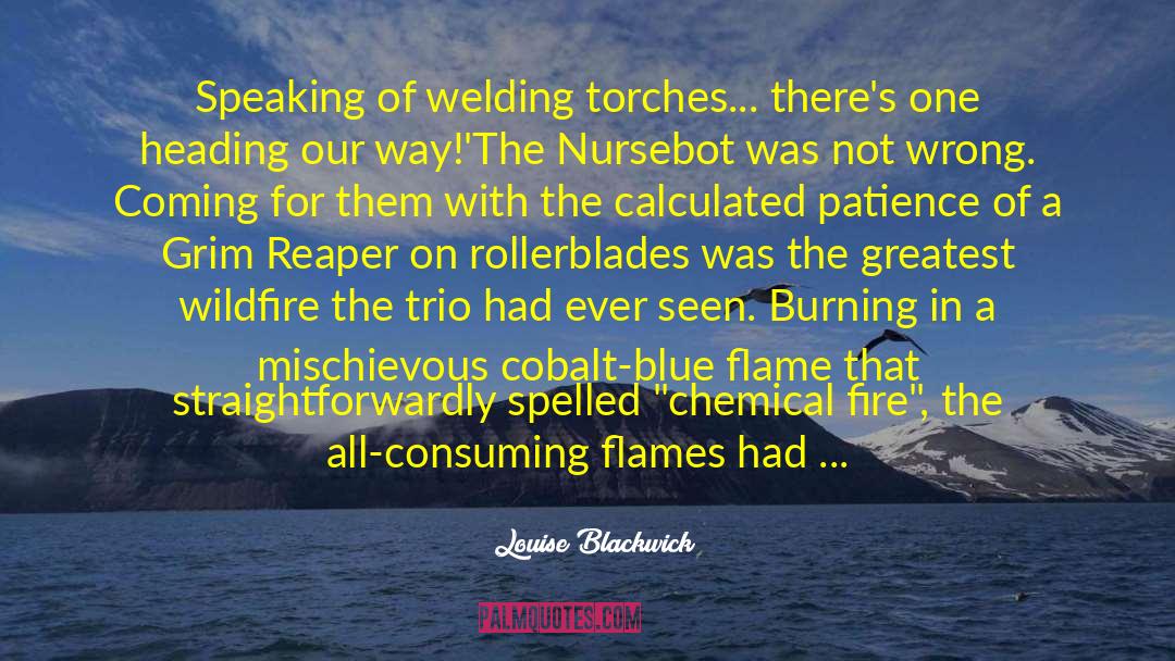 Refined By Fire quotes by Louise Blackwick