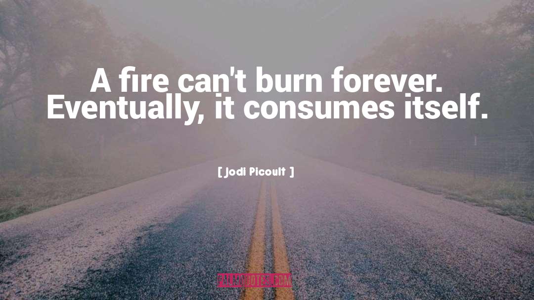 Refiner 27s Fire quotes by Jodi Picoult