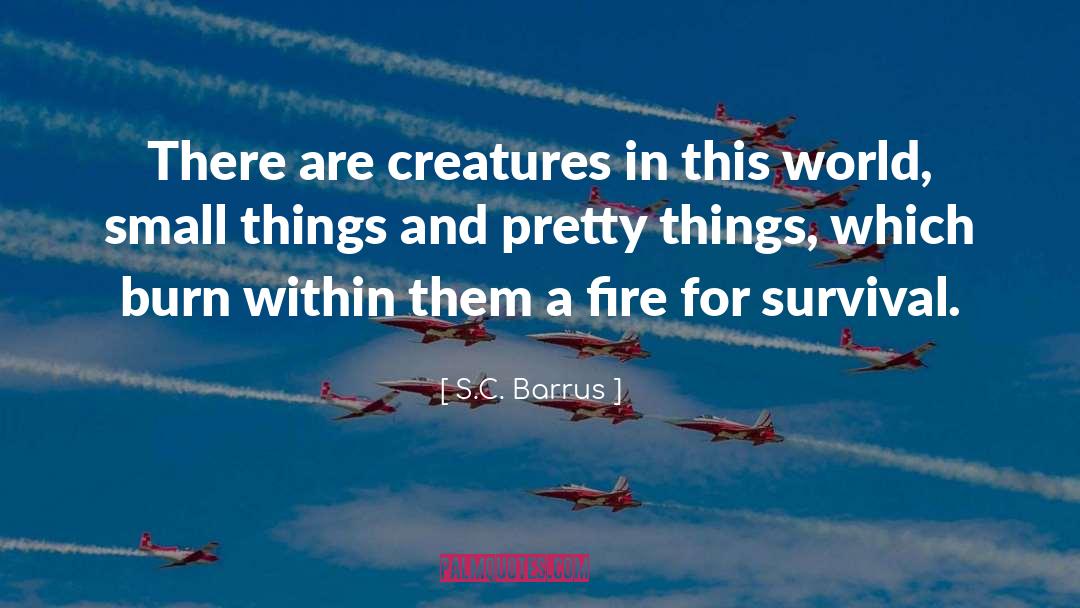 Refiner S Fire quotes by S.C. Barrus