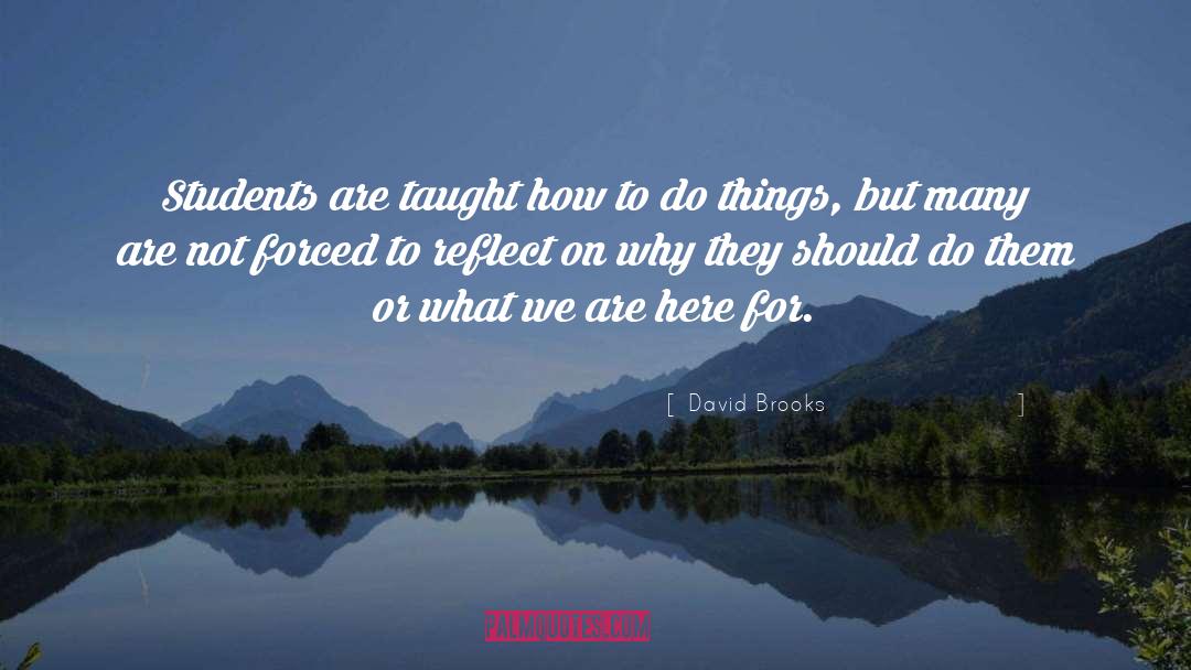 Reflect On quotes by David Brooks