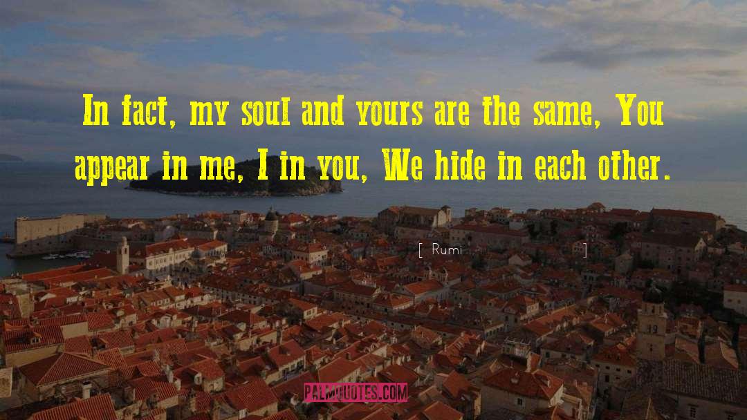 Reflected In You quotes by Rumi