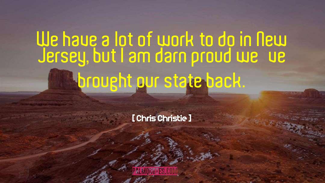 Reflecting Back quotes by Chris Christie