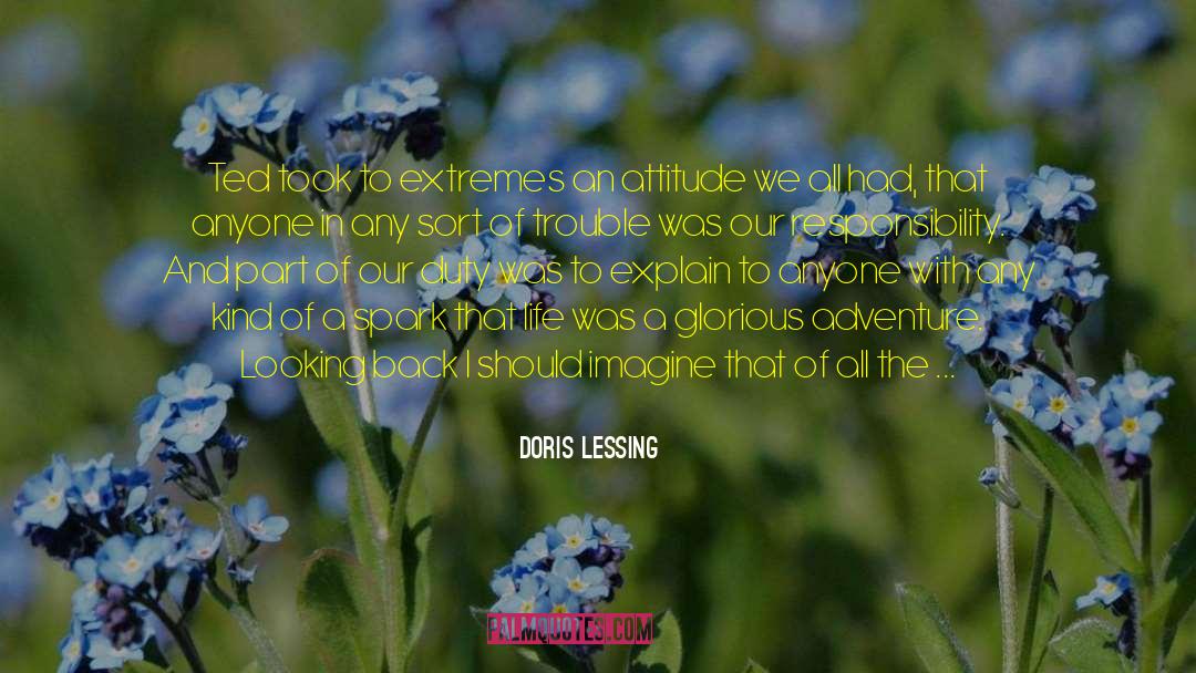 Reflecting Back quotes by Doris Lessing