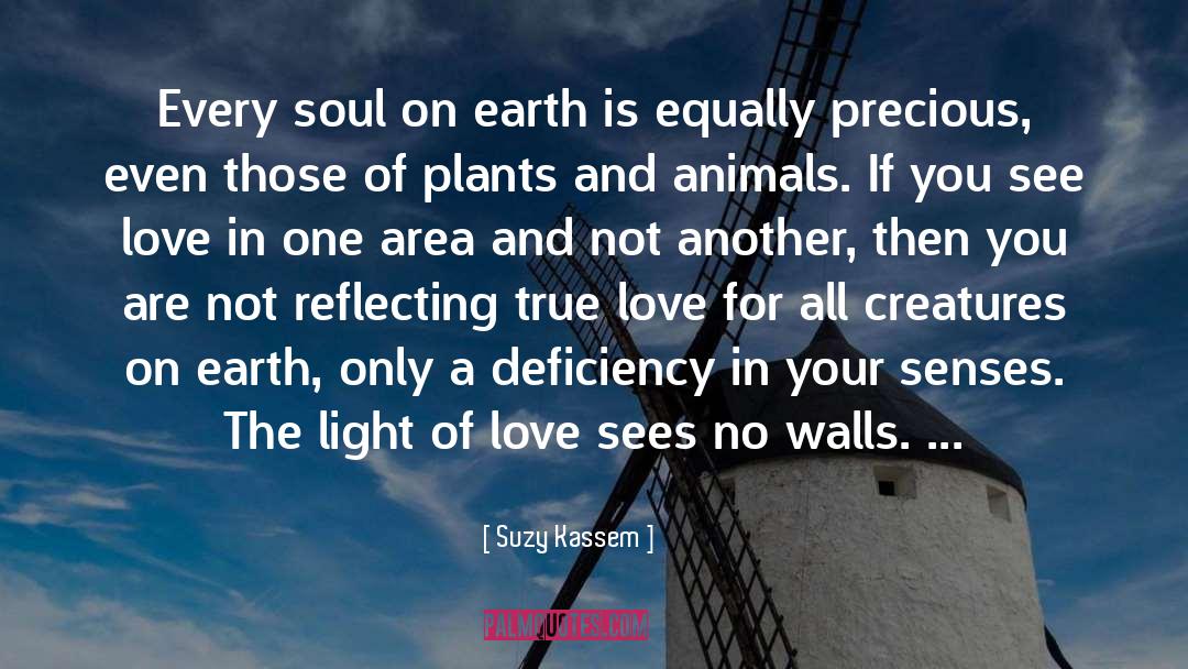 Reflecting quotes by Suzy Kassem