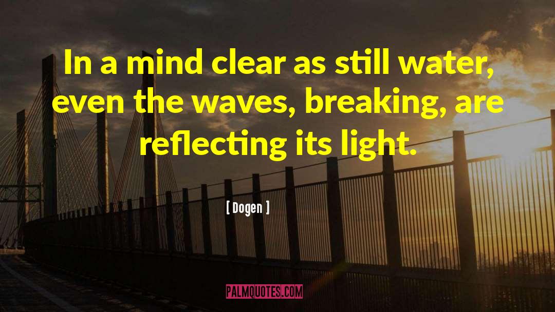 Reflecting The Brillance quotes by Dogen