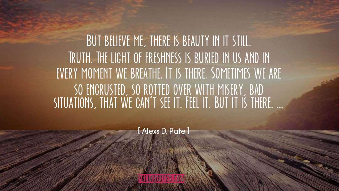 Reflection Of Beauty quotes by Alexs D. Pate