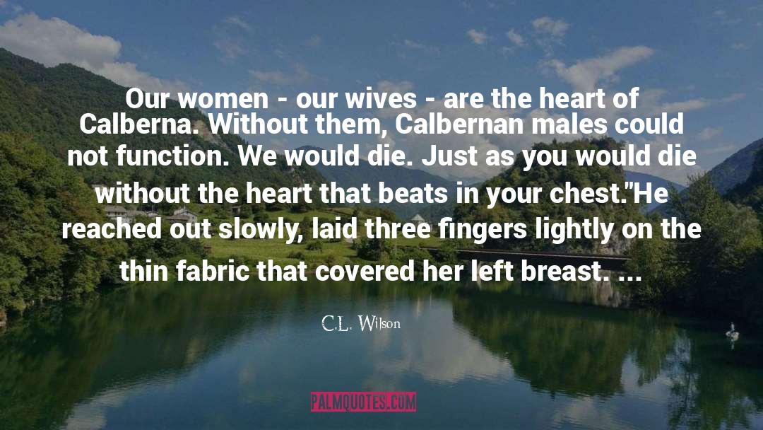 Reflection Of Your Heart quotes by C.L. Wilson