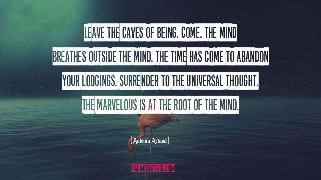 Reflection Of Your Mind quotes by Antonin Artaud