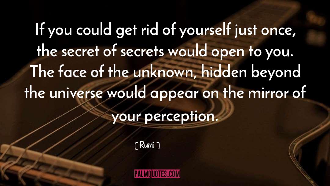 Reflective Mirror quotes by Rumi