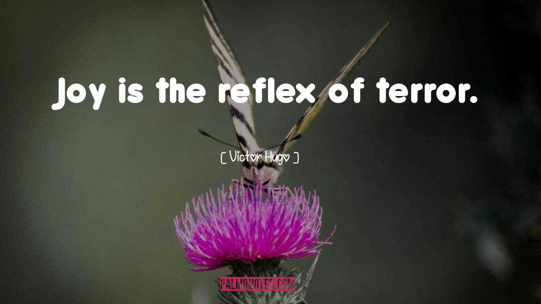 Reflexes quotes by Victor Hugo