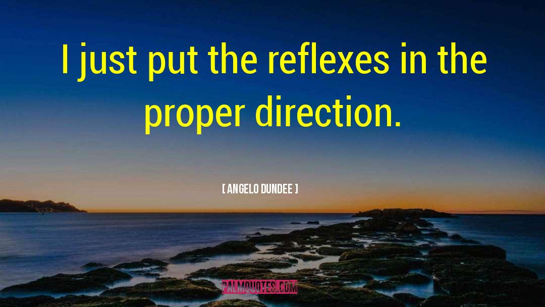 Reflexes quotes by Angelo Dundee