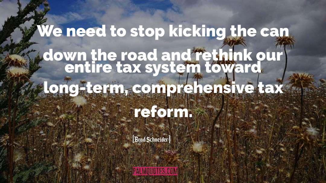 Reform quotes by Brad Schneider