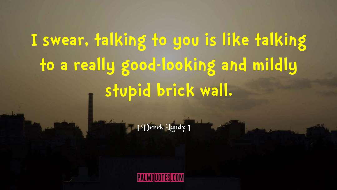 Refractory Brick quotes by Derek Landy