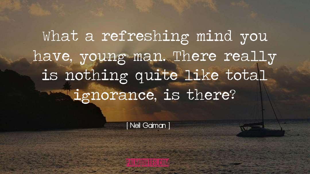 Refreshing quotes by Neil Gaiman