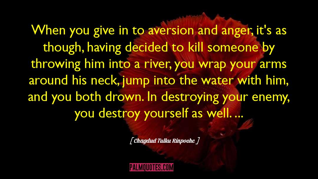 Refreshing Water quotes by Chagdud Tulku Rinpoche