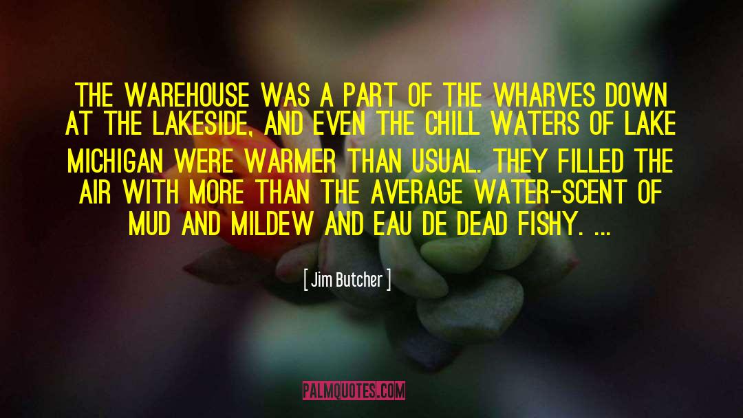 Refreshing Water quotes by Jim Butcher