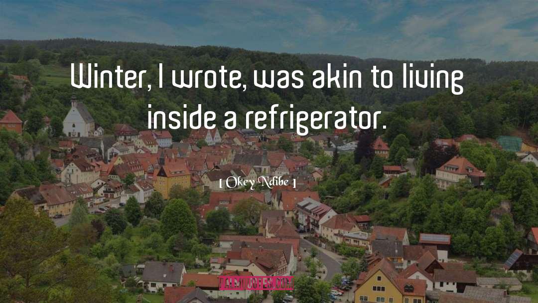 Refrigerator quotes by Okey Ndibe