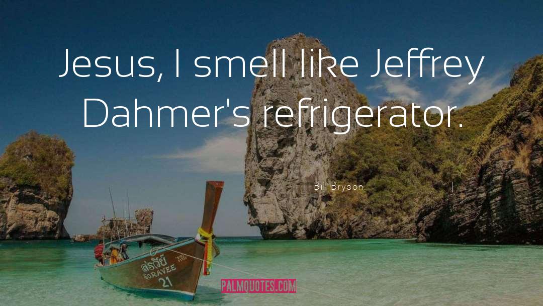 Refrigerator quotes by Bill Bryson