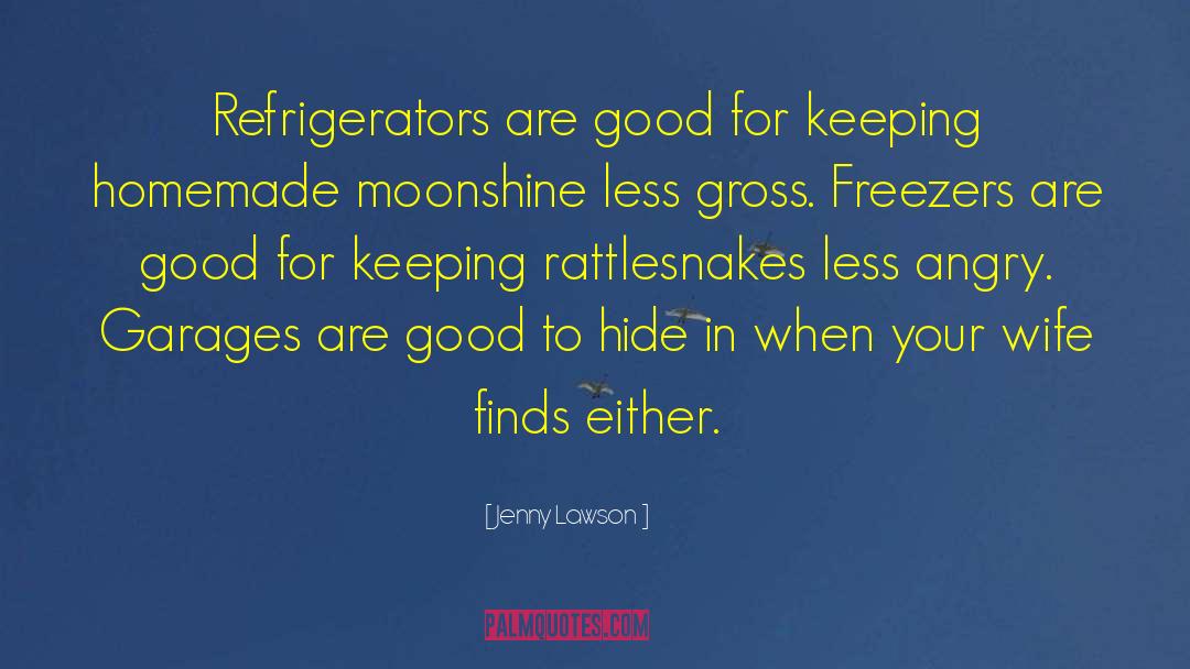 Refrigerators quotes by Jenny Lawson