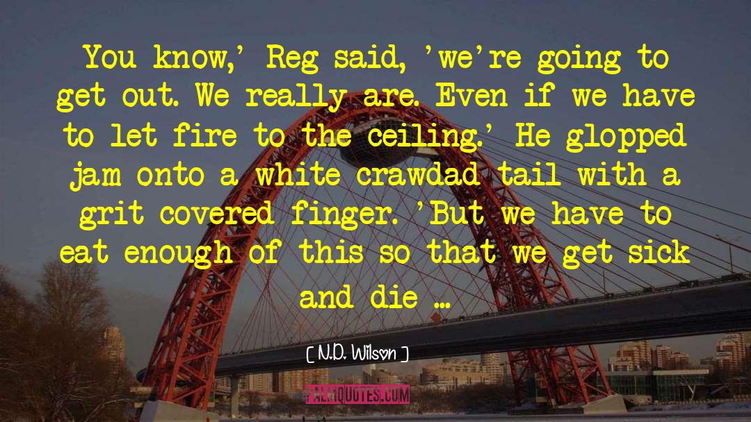 Reg quotes by N.D. Wilson