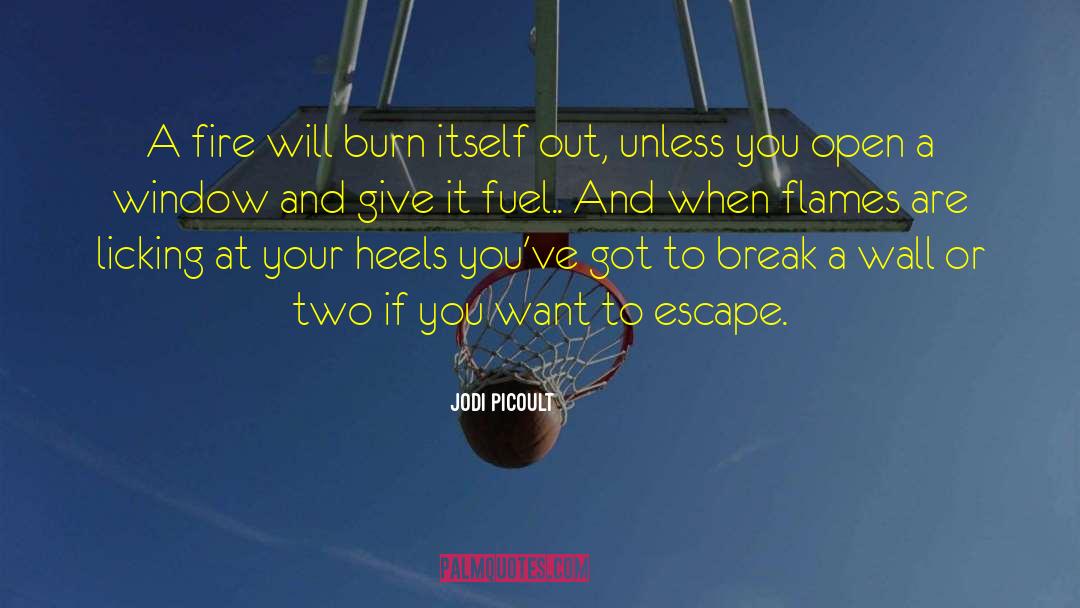 Regedit Escape quotes by Jodi Picoult
