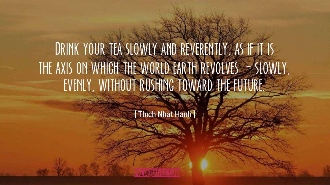 Regency World quotes by Thich Nhat Hanh