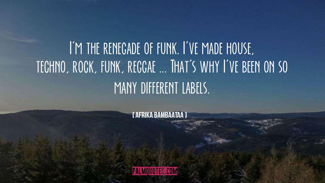 Reggae quotes by Afrika Bambaataa