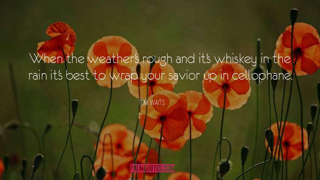 Reginella Lyrics quotes by Tom Waits
