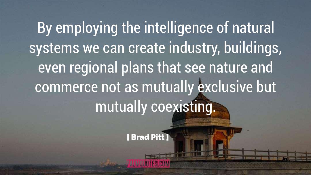 Regional Cooperation quotes by Brad Pitt