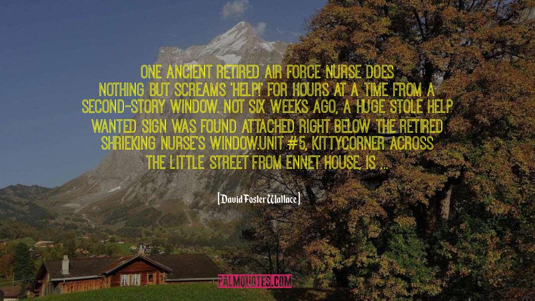 Registered Nurse quotes by David Foster Wallace