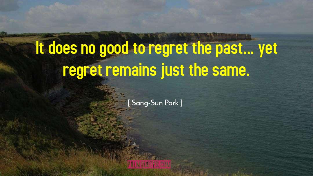 Regrets Heartache quotes by Sang-Sun Park