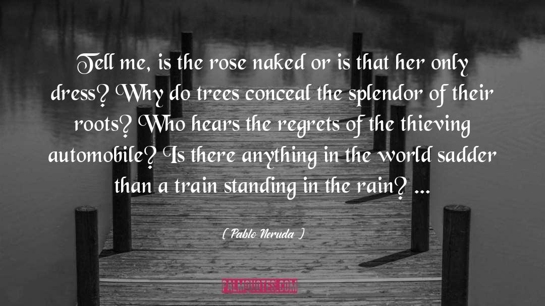Regrets quotes by Pablo Neruda