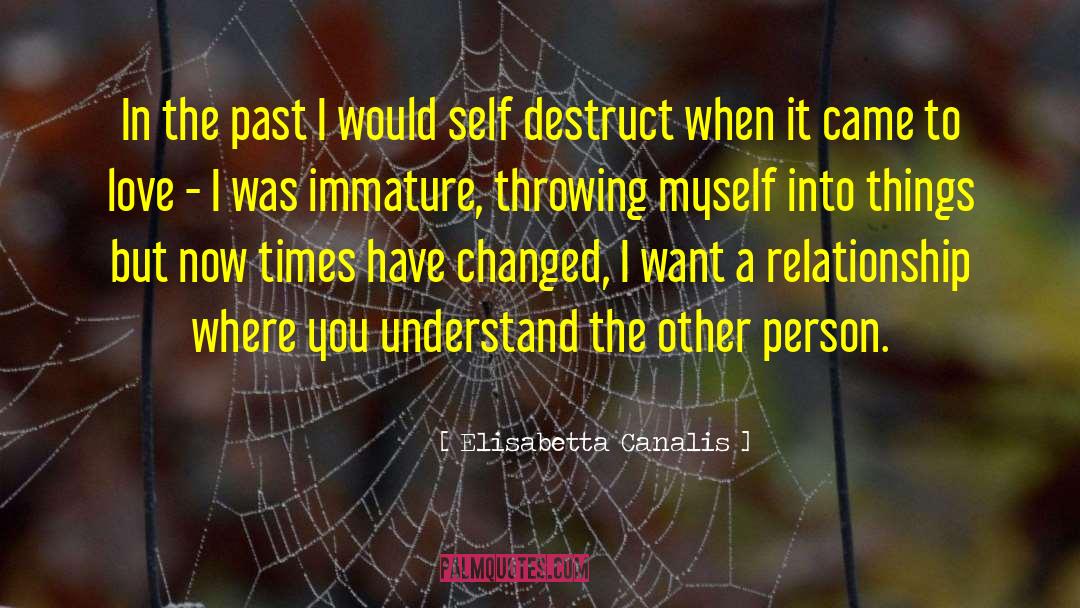 Regretting Things In The Past quotes by Elisabetta Canalis