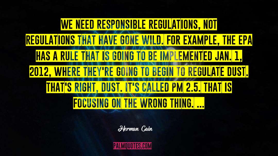 Regulate quotes by Herman Cain