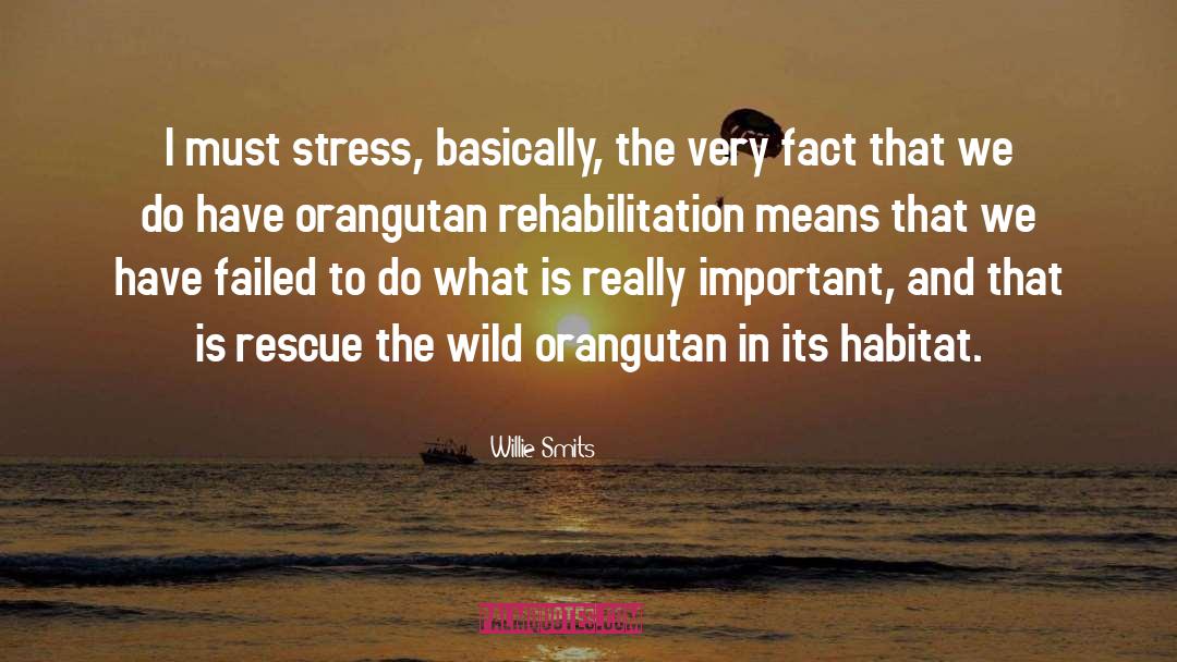 Rehabilitation quotes by Willie Smits