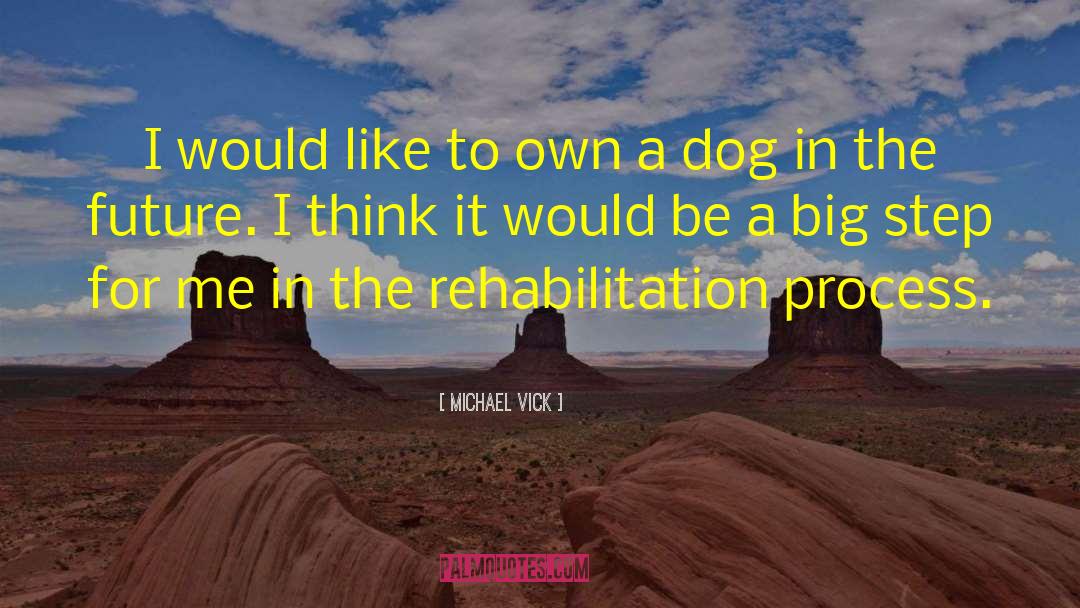 Rehabilitation quotes by Michael Vick
