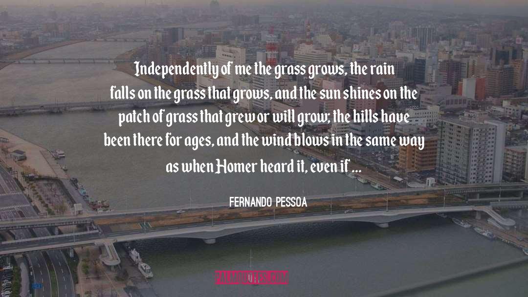 Reichenberg Falls quotes by Fernando Pessoa