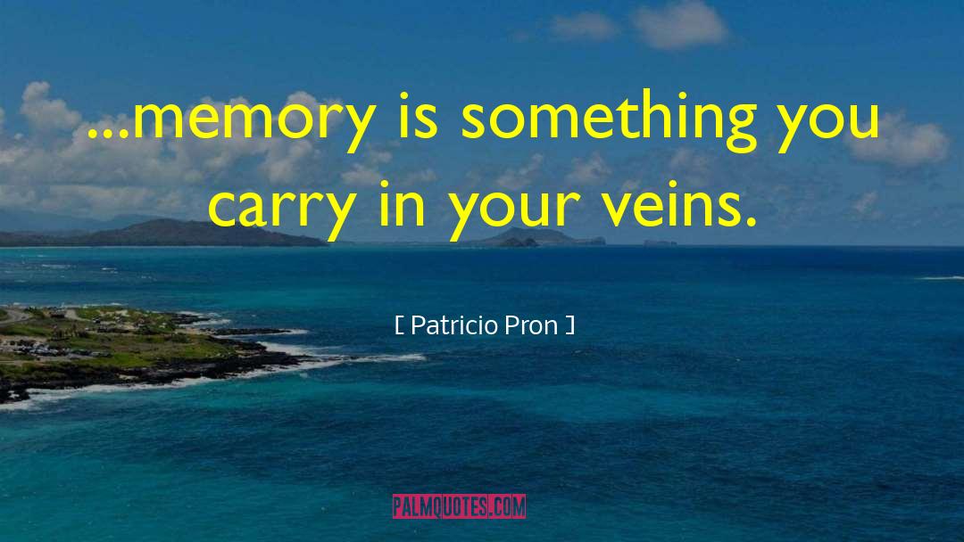 Reinforce Memory quotes by Patricio Pron
