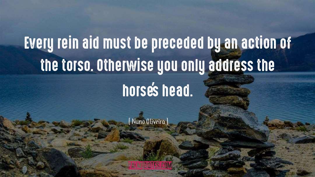 Reins quotes by Nuno Oliveira