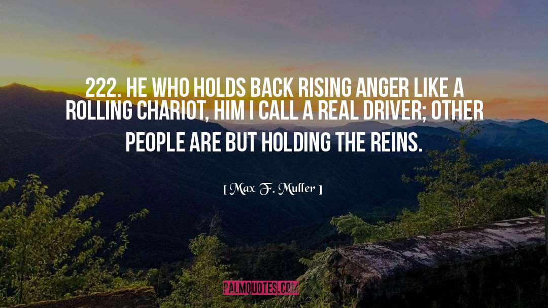 Reins quotes by Max F. Muller