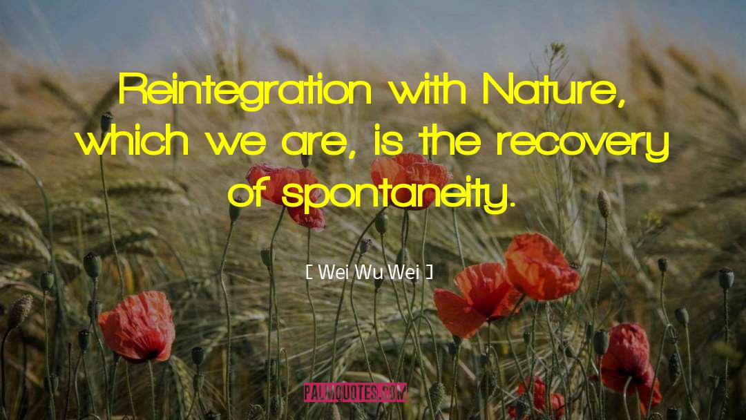 Reintegration quotes by Wei Wu Wei