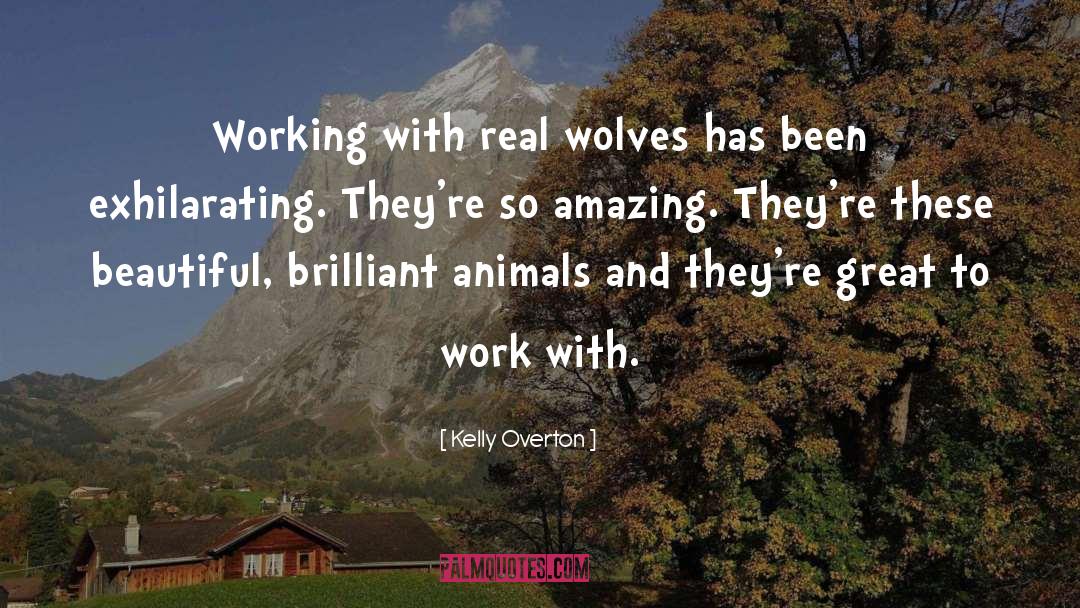 Reintroduced Animals quotes by Kelly Overton