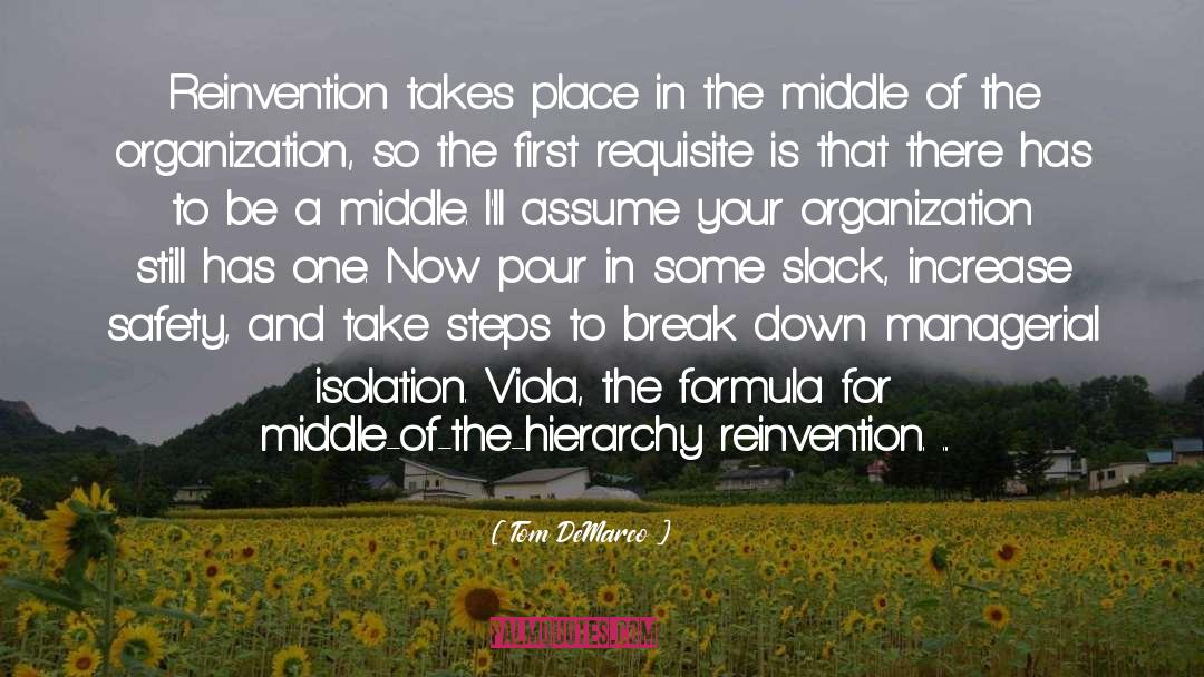 Reinvention quotes by Tom DeMarco