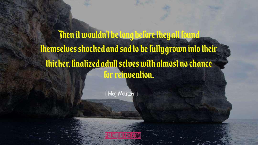 Reinvention quotes by Meg Wolitzer