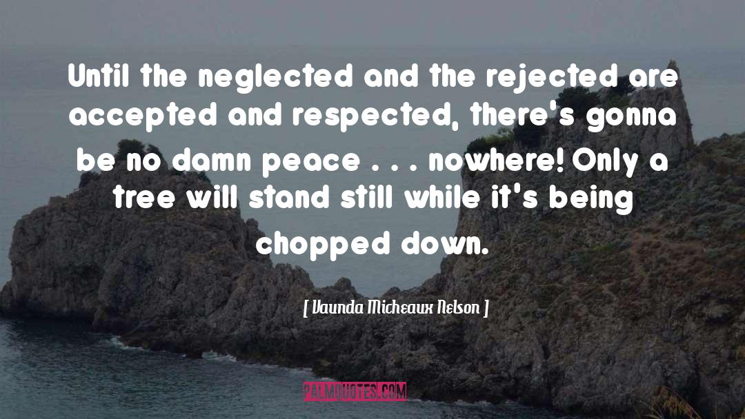 Rejected quotes by Vaunda Micheaux Nelson