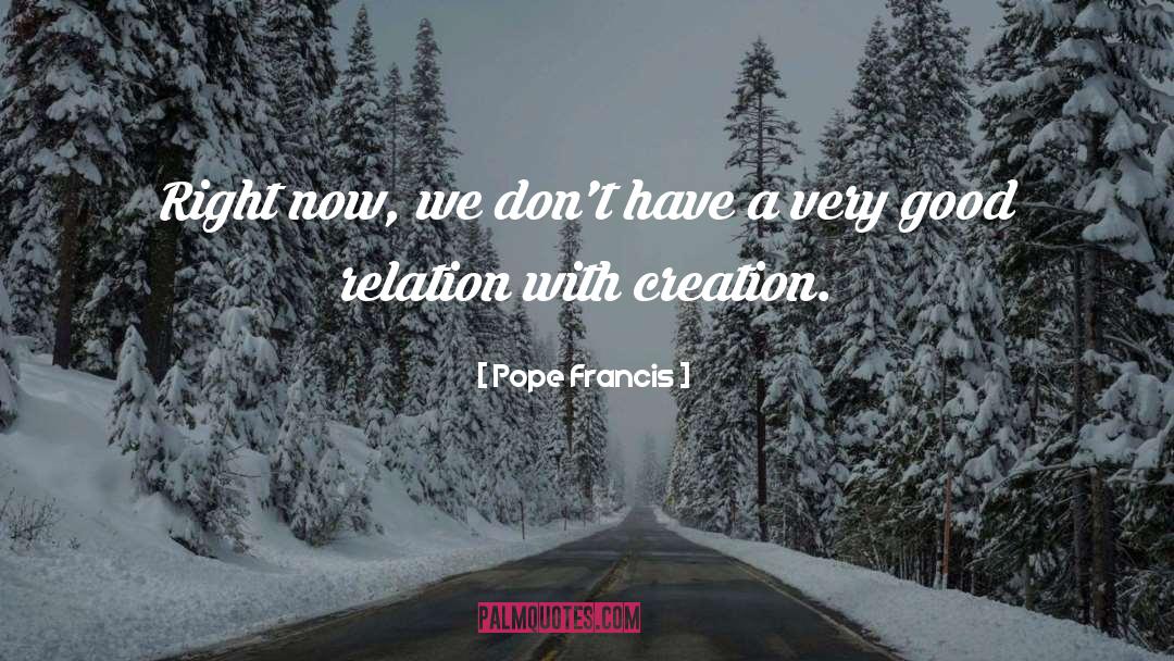 Relation With Brother quotes by Pope Francis