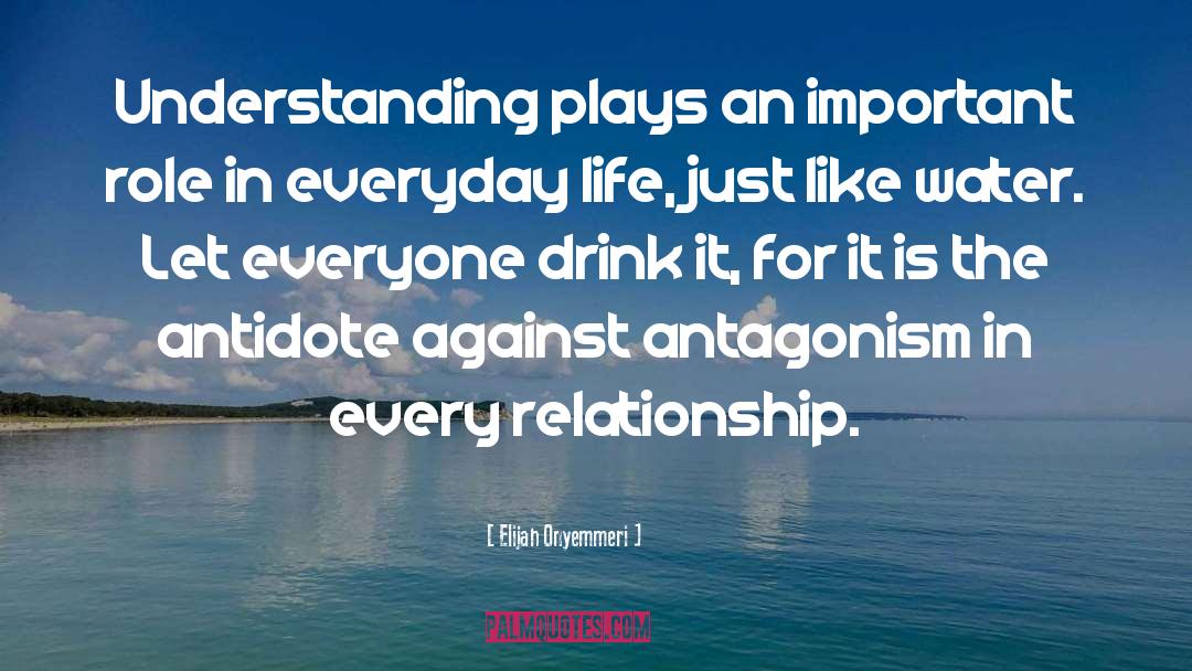 Relationship Problems quotes by Elijah Onyemmeri