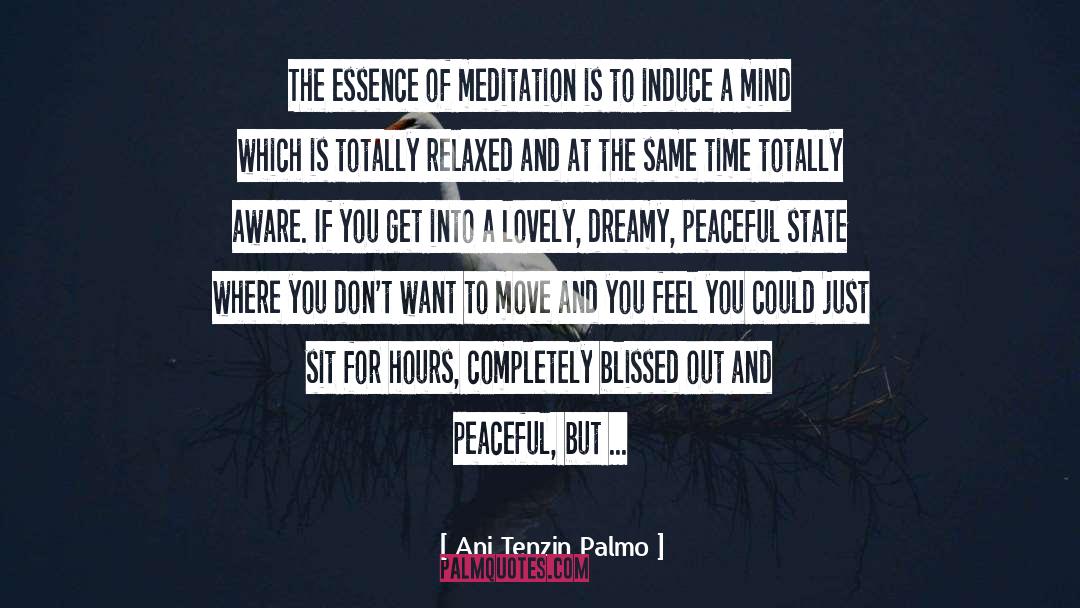 Relaxed quotes by Ani Tenzin Palmo