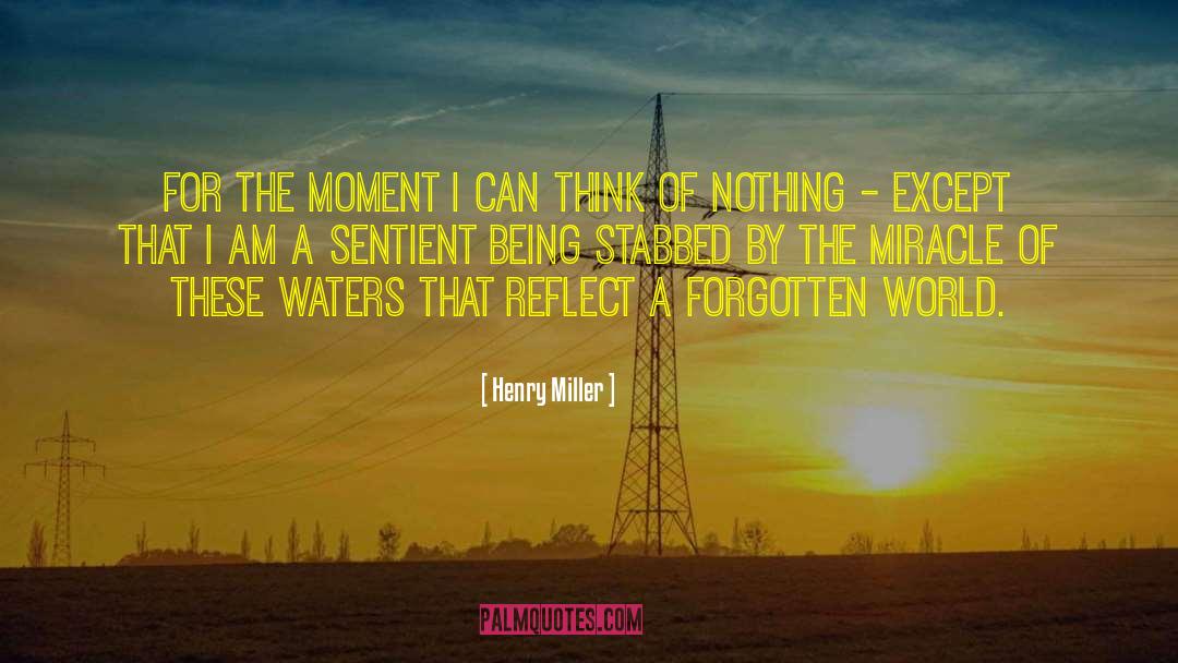 Relfection quotes by Henry Miller