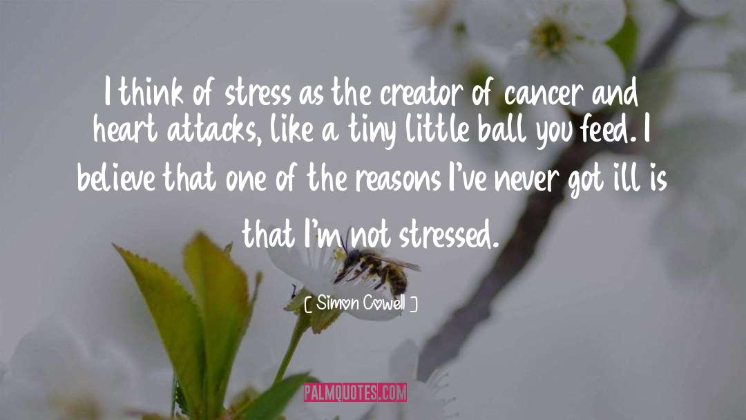 Relieve Stress quotes by Simon Cowell